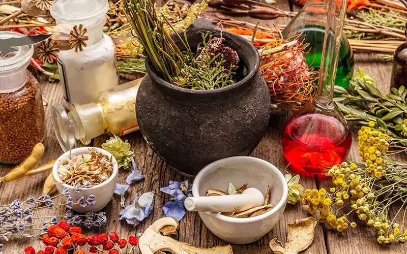 Ayurvedic treatment at Haritha International Sound Healing